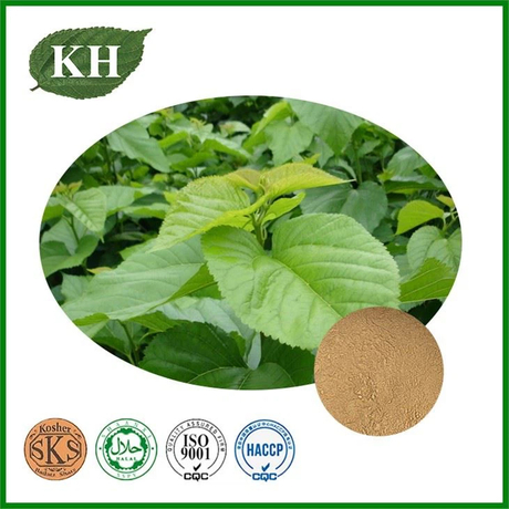 615_Mulberry Leaf Extract.jpg