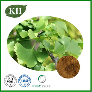 イチョウ葉エキス