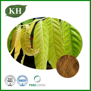 マンゴーリーフエキス