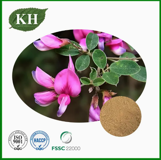 0.2% 0.4% ケンフェリトリンを含む天然 Lespedeza Capitata エキス