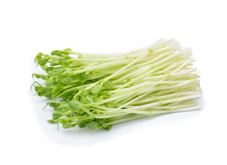 Pea Sprout Extract 2.png