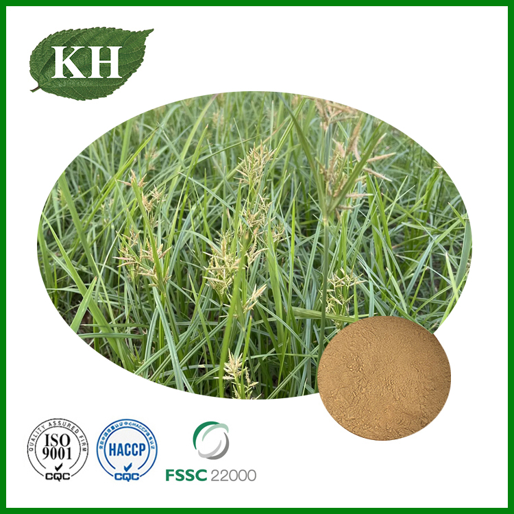 Cyperus rotundus抽出物